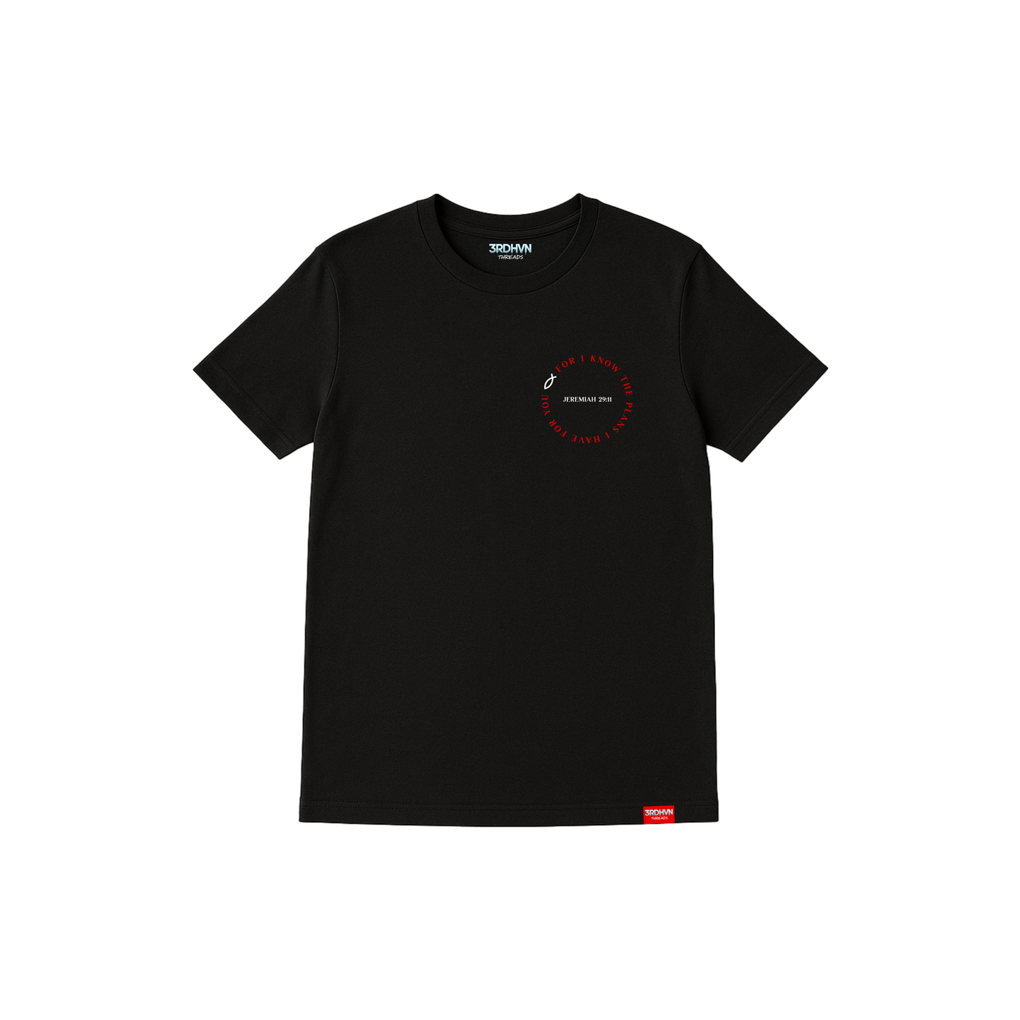 Jeremiah 29:11 T-Shirt