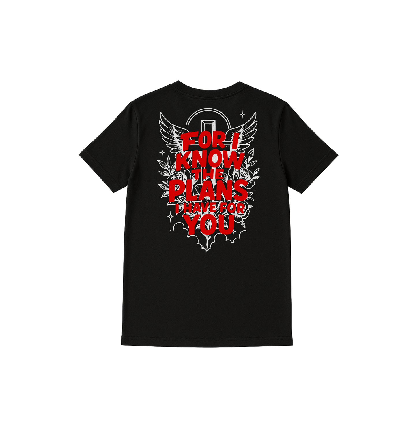 Jeremiah 29:11 T-Shirt
