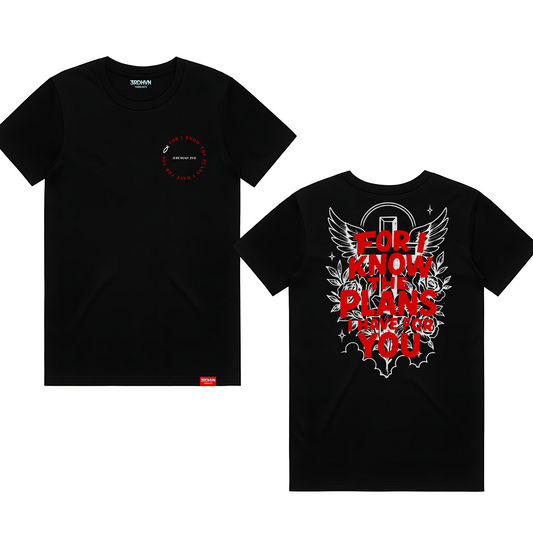Jeremiah 29:11 T-Shirt